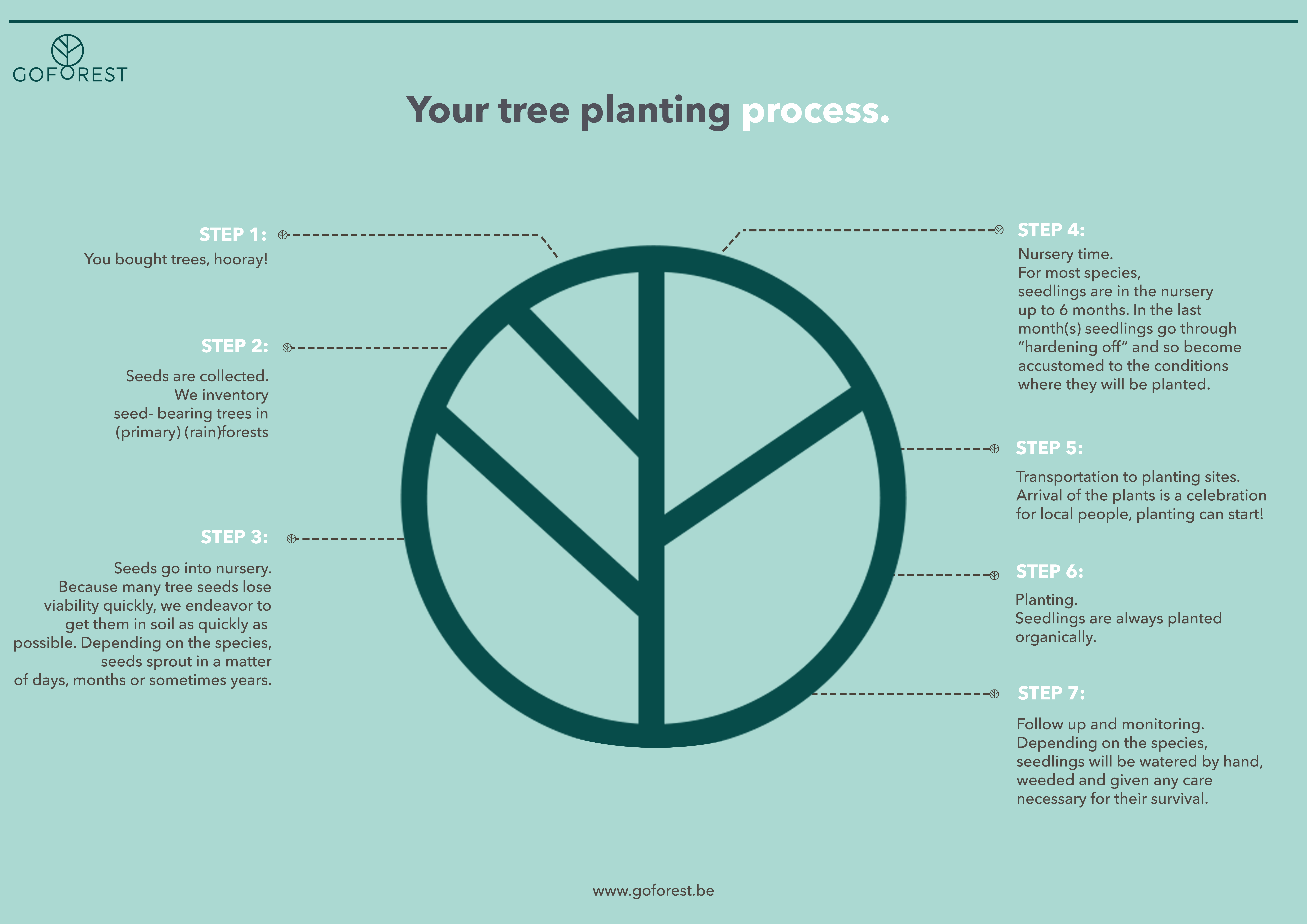 Tree planting process visual