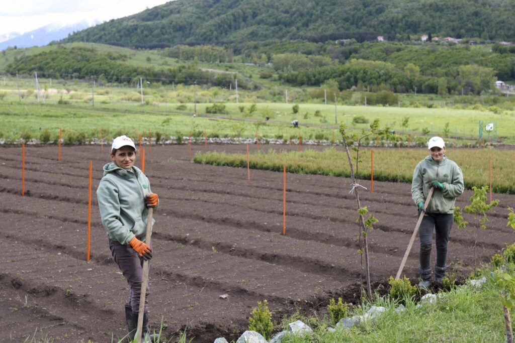 Go Forest visits Armenia 2