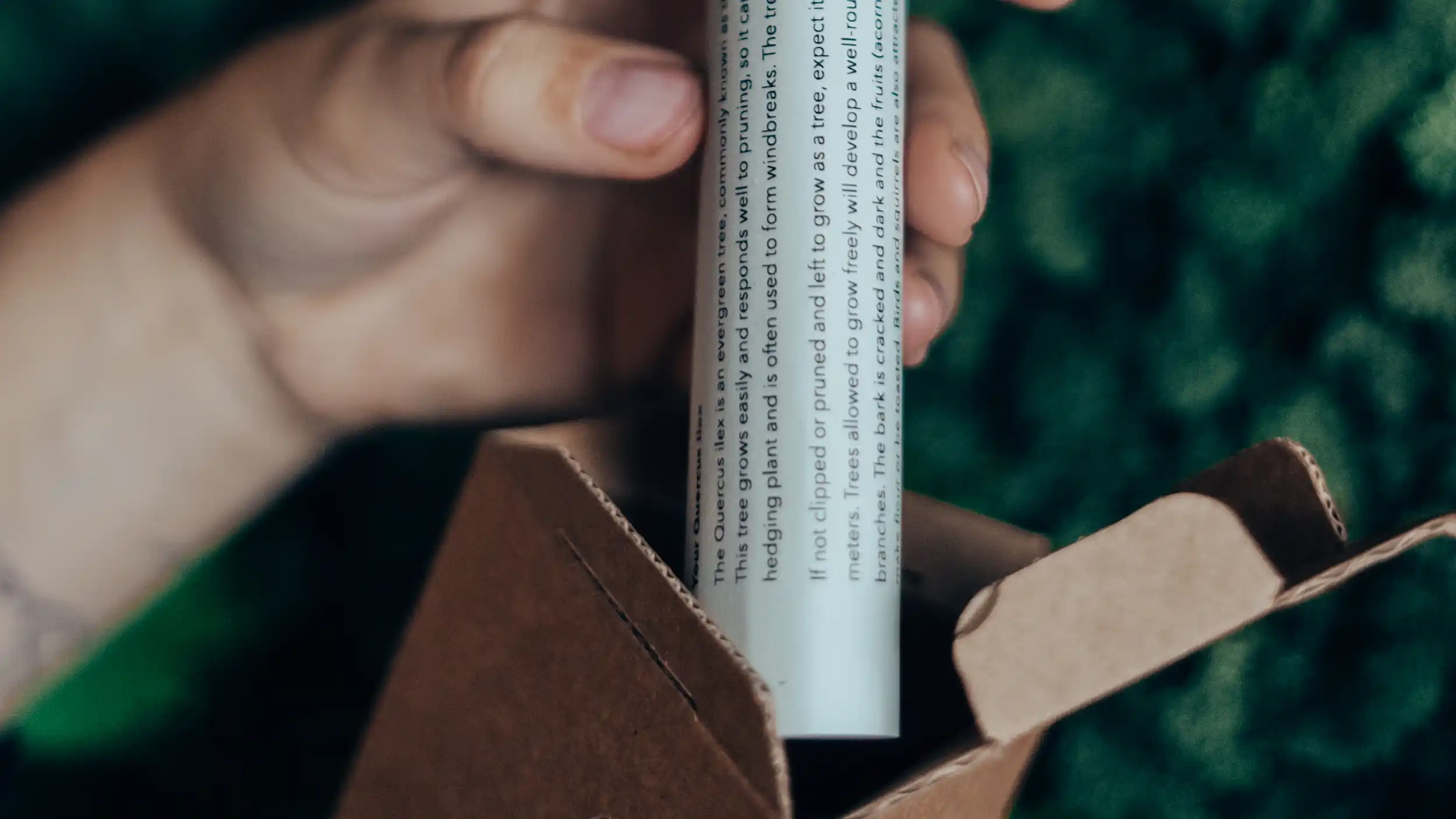 20241122_Tree_Gifts_by_Jacob-16